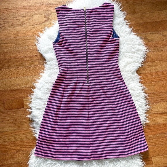 Lilly Pulitzer Brielle Fit and Flare Dress - Pink and Navy Stripe | Size XS - Picture 9 of 9